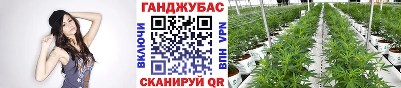 Где купить наркоту Шарья Амфетамин  Метамфетамин  ГАШИШ  МЕФ 
