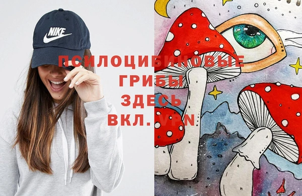 PSILOCYBIN Абаза